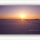 금빛바다 이미지