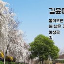 김윤아 : 봄이 오면 / 봄 날은 간다 / 야상곡 / 길 이미지