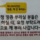 또또닭강정 옛날통닭 이미지