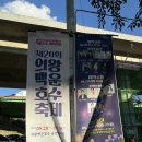 백운행복 | 의왕백운호수축제/ 군포행복올레축제 후기 (장민호, 효린, 박서진)