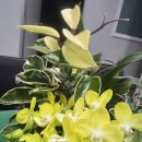 불기 2569년 5월 30일 이미지