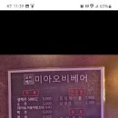 미아오비베어