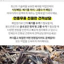 스테아트빌 네이버블로그