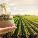 유일농산 이미지