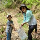 남양주백봉초등학교 이미지