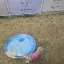 하울리데이 이미지