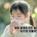 세계이불솜틀집
