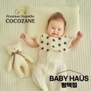 코코자요 이미지