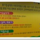 종가집돌솥설렁탕