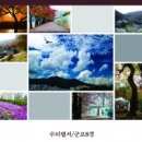 수리별 한국사진방송