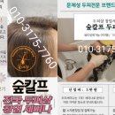 숲칼프교육전문센터원주점