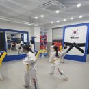 백운태권도 이미지