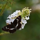 제주돌마을공원 이미지