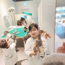 후니로니 이미지