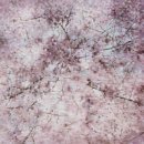 회귀(回歸) 이미지