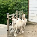 거림목장 이미지