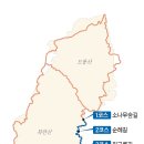 정자중앙길 이미지