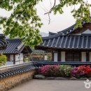 올리브영경주