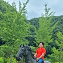 경남 의령 망우당 곽재우 장군, 백산 안희제 선생 생가/20260607