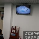 춘천실내빙상장 이미지