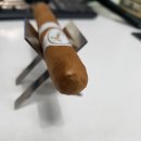 밀러스타바코