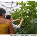이숙자농장 이미지