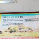 충무곰탕 이미지
