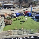 넘버25호텔 남양주북한강점 | 남양주 애견카페 카페인퀸스, 북한강 리버뷰 신상 카페 솔직 후기