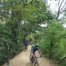 영남초등학교 이미지