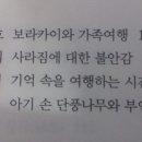 고흥-2호 이미지