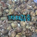 전국최저가 도전 / 수입산말고 국산드세요 백합조개 1k-만원 이미지