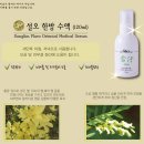 오테라