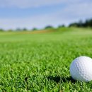 알짜천국 이미지