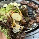 돈뽈 - 안산시 상록구 항가울로 41 | 가양역 맛집 돼지고기 특수부위 전문점 : 돈뽈 가양점