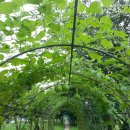 안산농장 이미지