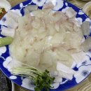선도막회
