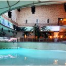 디 오아시 이미지