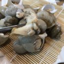 명태명가 이미지