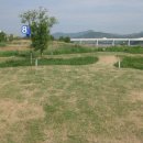 양평파크골프장 이미지