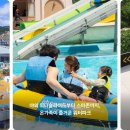 휘닉스파크 이미지