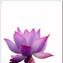 애기능약수터 이미지