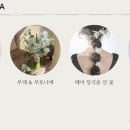 SEE스튜디오 이미지