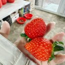 희수농장 이미지