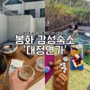 시냇물펜션 | [공지] 봉화 감성숙소 대정연가 봉화에 숨겨진 보물같은 경북 독채펜션 카페 조식 노천탕 내돈내산 후기