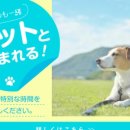 레조네이트