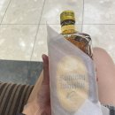 단디텍스 이미지