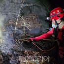 YES!항공여행사 이미지