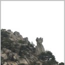 11월,정기산행,충남,홍성,용봉산,수암산으로 이미지