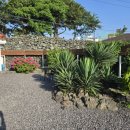 푸른 달 이미지