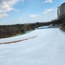 일성생선구이 이미지